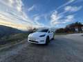 Tesla Model Y Model Y Long Range AWD 79kWh Weiß - thumbnail 10