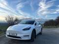 Tesla Model Y Model Y Long Range AWD 79kWh Weiß - thumbnail 12