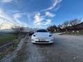 Tesla Model Y Model Y Long Range AWD 79kWh Weiß - thumbnail 14