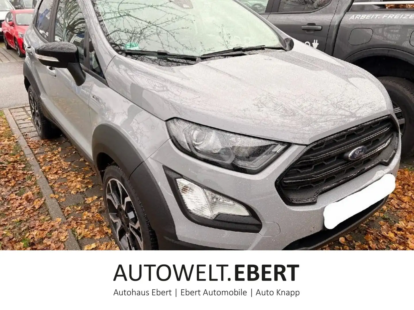 Ford EcoSport 1.0 Active LED/KAMERA/GRA/SHZ/B&O/LHZ/ Gri - 1