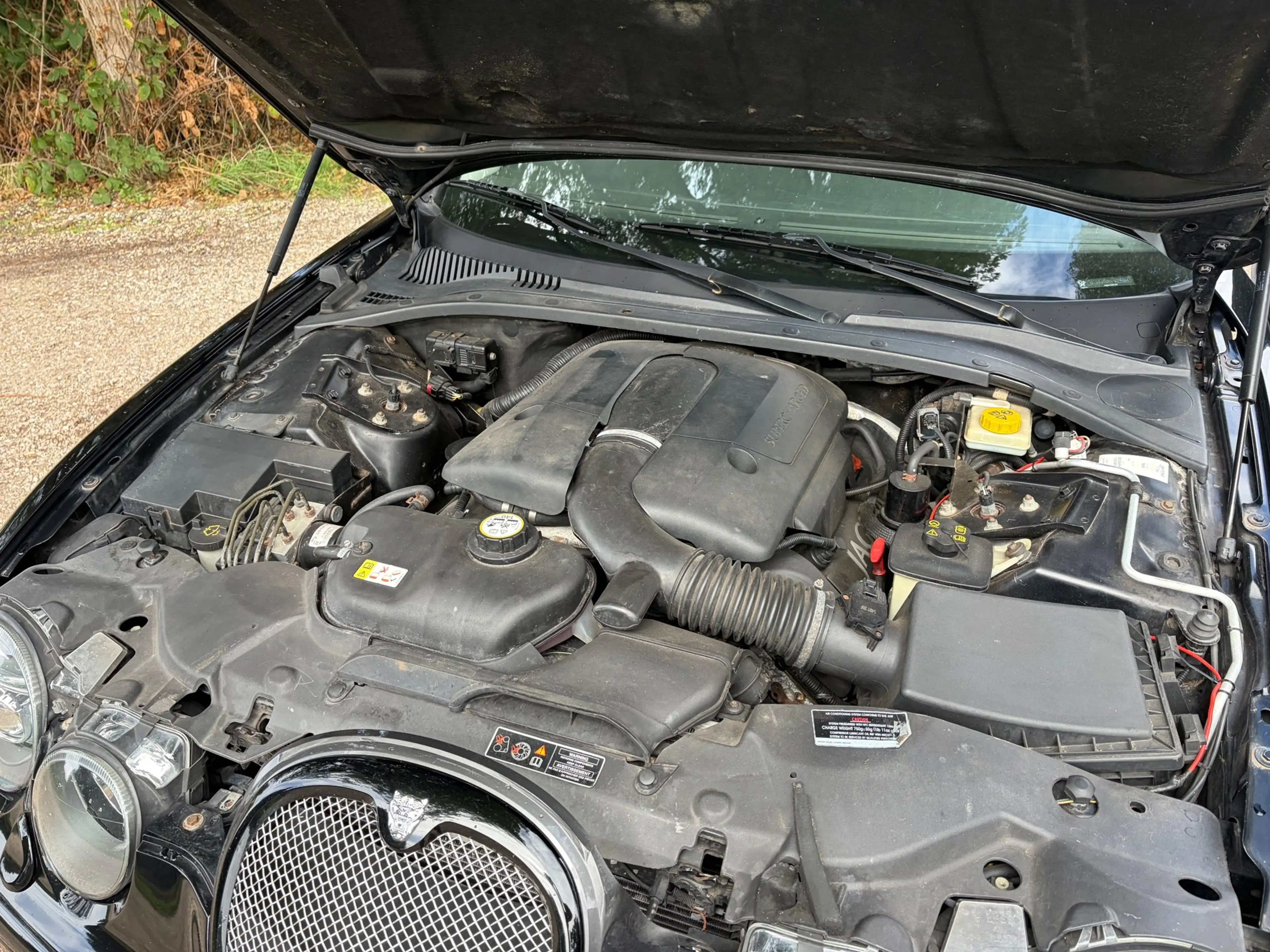 Jaguar S-Type 4.2 V8 R S/C — photo 13