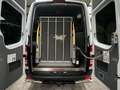 Mercedes-Benz Sprinter 313 Cdi Maxi L3 9Sitze + Lift Ahk Klima Weiß - thumbnail 35