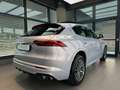 Maserati Grecale Grecale 2.0 mhev GT 300cv auto - thumbnail 7