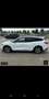Ford Focus Wagon 1.5 EcoBoost Active Business Blanc - thumbnail 18