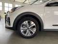Kia e-Niro Vision/On-Board-Lader/Navi/RFK/1.Hd/U-Frei Weiß - thumbnail 21