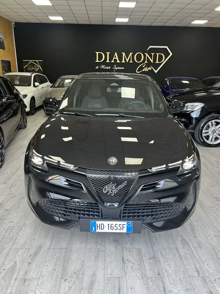 Alfa Romeo Junior 2026
