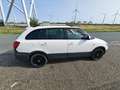 Skoda Fabia 1.2 TSI Scout Weiß - thumbnail 8