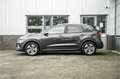 Kia e-Niro DynamicPlusLine 64 kWh | Schuifkantel dak | Trekha Gris - thumbnail 10