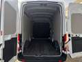 Ford Transit Kasten 350 L3  Hoch Trend *TEMPOM*KLIMA Blanc - thumbnail 10