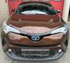 Toyota C-HR C-HR Hybrid 1.8i VVT-i C-Bus.Plus E-CVT(EU6.2 Brun - thumbnail 2