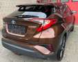 Toyota C-HR C-HR Hybrid 1.8i VVT-i C-Bus.Plus E-CVT(EU6.2 Brun - thumbnail 6