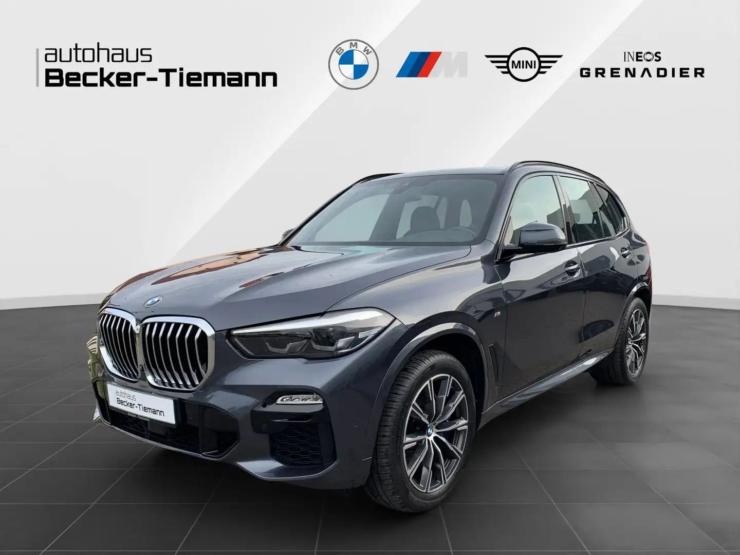 BMW X5 xDrive30d M Sportpaket/ParkingAss Plus/HIFI Gris - 1
