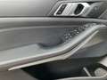 BMW X5 xDrive30d M Sportpaket/ParkingAss Plus/HIFI Gris - thumbnail 10