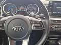 Kia XCeed 1.6 PHEV eDrive Aut. Gris - thumbnail 16