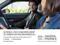 Mazda 3 2.5L e-SKY-G 103 kW (140 PS) Automatik Center Line Grau - thumbnail 28
