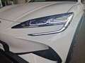 BYD Sealion 7 Excellence AWD *AKTIONSPREIS* Weiß - thumbnail 7