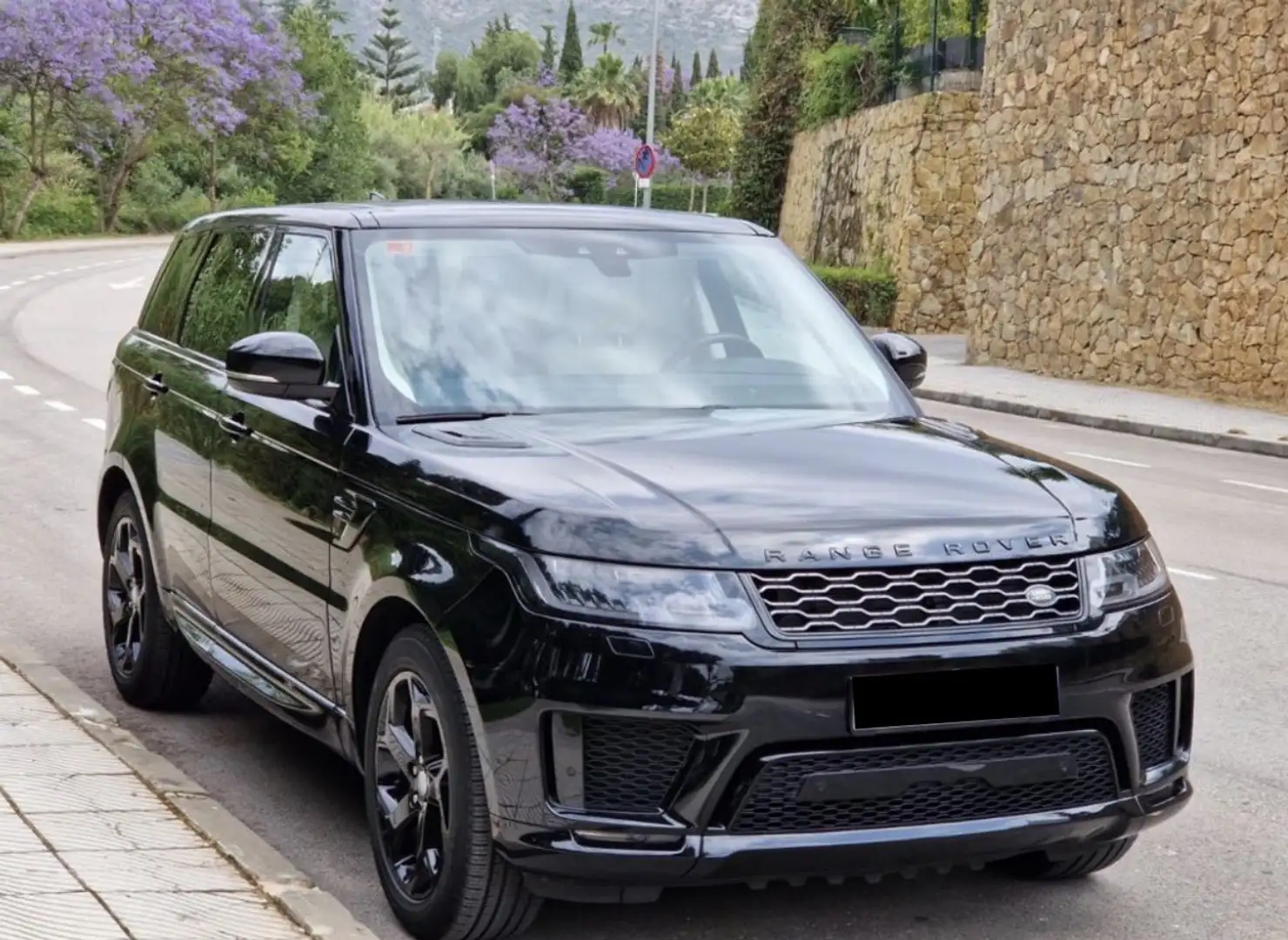 Land Rover Range Rover Sport 3.0SDV6 HSE Dynamic Aut. 249 - 2