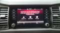 Skoda Kodiaq 4x4 SPORTLINE TDI DSG - Allrad und Automatik Schwarz - thumbnail 15
