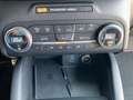 Ford Kuga 2.0 EcoBlue Hybrid ST-LINE X Gris - thumbnail 17