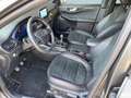Ford Kuga 2.0 EcoBlue Hybrid ST-LINE X Gris - thumbnail 5