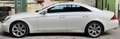 Mercedes-Benz CLS 350 Leder Designo Weiß 64TKM Blanc - thumbnail 5