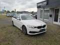 BMW 530 530 i xDrive Sport Line Automatik Weiß - thumbnail 6