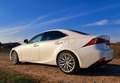 Lexus IS 250 IS 250  IS300 IS300h Luxury Line Weiß - thumbnail 6