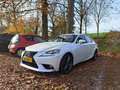 Lexus IS 250 IS 250  IS300 IS300h Luxury Line Wit - thumbnail 3