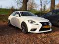 Lexus IS 250 IS 250  IS300 IS300h Luxury Line Weiß - thumbnail 4