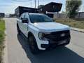 Ford Ranger Ranger Doppelkabine Wildtrak e-4WD 2.3 EcoBoost... Weiß - thumbnail 9