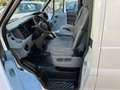 Ford Transit 2.2 tdci 115 cv T 280 S Alb - thumbnail 7