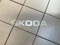 Skoda Karoq 2,0 TDI SCR 4x4 Style DSG Weiß - thumbnail 13