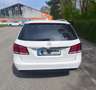 Mercedes-Benz E 220 E-Klasse T-Modell Diesel T CDI DPF BlueEFFICIENCY Weiß - thumbnail 4