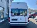 Ford Transit Kombi FT 300 M"1.Hand"Rampe"Standheizung Weiß - thumbnail 10