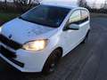 Skoda Citigo 1.0 MPI Fun Weiß - thumbnail 7