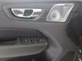 Volvo XC60 T8 AWD Ultra Dark AHK STANDHZ 360° PANO Gris - thumbnail 10