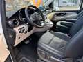 Mercedes-Benz Viano Marco Polo 4MATIC Blanco - thumbnail 19