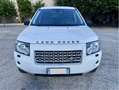Land Rover Freelander 2.2 td4 aut. - thumbnail 2
