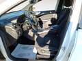 Mercedes-Benz B 180 180 cdi Executive Blanc - thumbnail 12