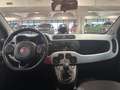 Fiat Panda Panda 1.0 firefly hybrid Sport s&s 70cv 5p.ti Gris - thumbnail 11