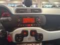 Fiat Panda Panda 1.0 firefly hybrid Sport s&s 70cv 5p.ti Gris - thumbnail 14
