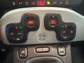 Fiat Panda Panda 1.0 firefly hybrid Sport s&s 70cv 5p.ti Gris - thumbnail 15