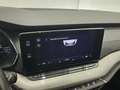 Skoda Octavia 1.5 E-TEC EXECUTIVE DSG Grigio - thumbnail 15
