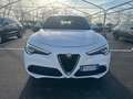Alfa Romeo Stelvio Stelvio 2.2 t Executive Q4 190cv auto my19 FX447SP Blanc - thumbnail 9