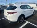 Alfa Romeo Stelvio Stelvio 2.2 t Executive Q4 190cv auto my19 FX447SP Blanc - thumbnail 6