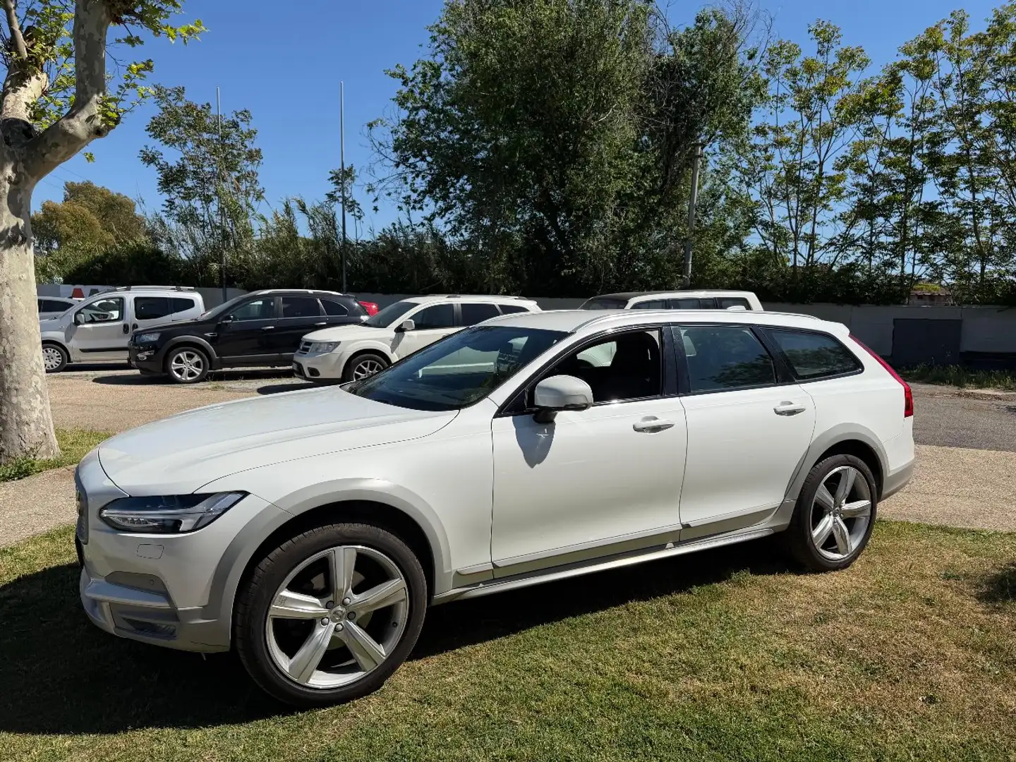 Volvo V90 Cross Country Ocean Race Weiß - 1