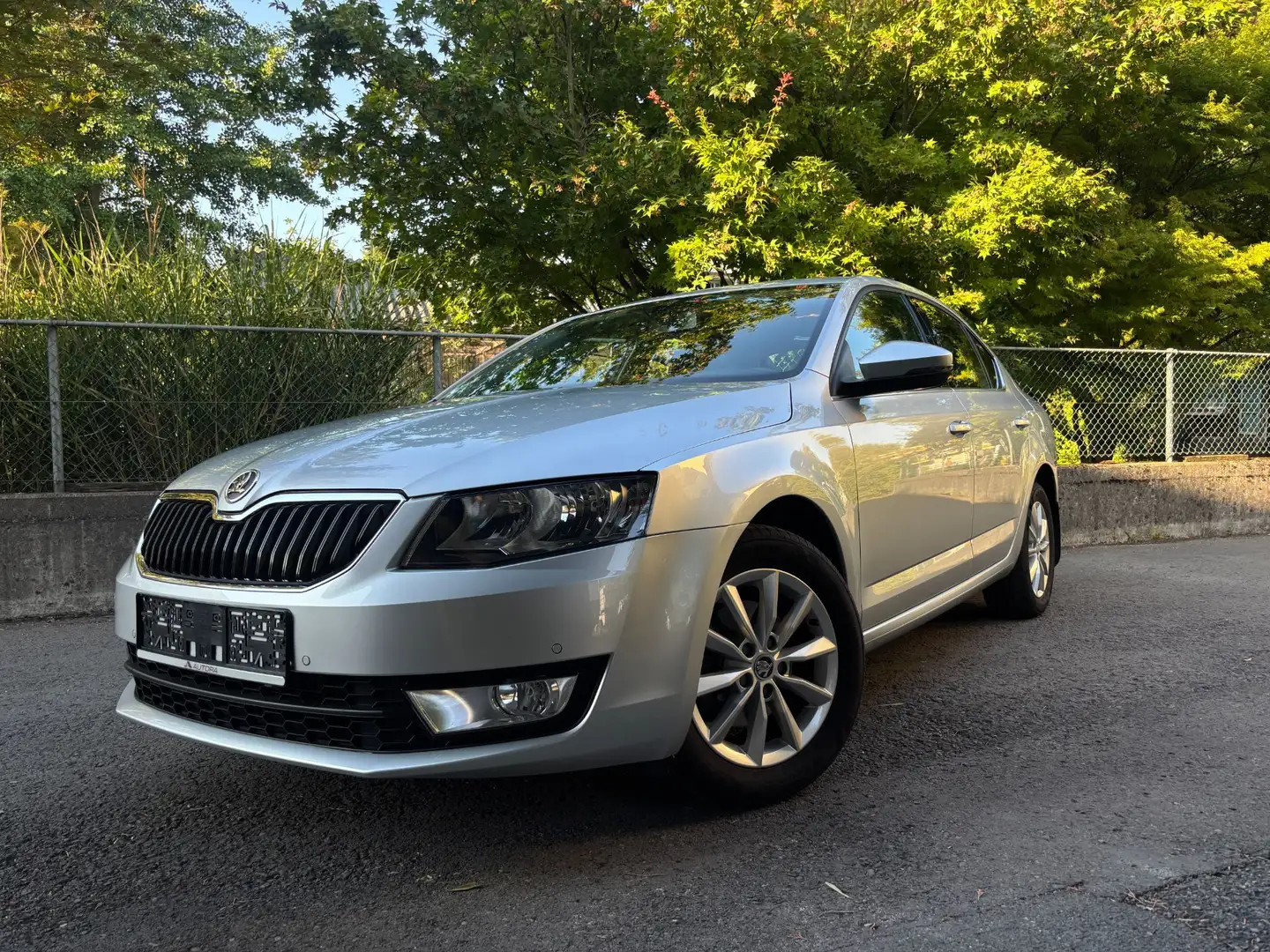 Skoda Octavia 1,4 TSI Elegance Green tec DSG Silber - 1
