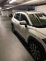 Toyota Corolla Cross Corolla Cross 1,8 Hybrid Active Drive 2WD Active Drive Weiß - thumbnail 21