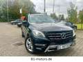 Mercedes-Benz ML 350 ML -Klasse ML 350 CDI BlueTec Schwarz - thumbnail 1