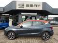 SEAT Arona Style Arona 1.0 TSI Beats DSG 110 PS Grau - thumbnail 3